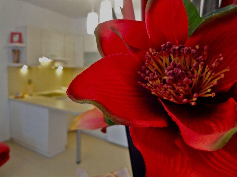 Apartamenty Aparts Łódź Extérieur photo